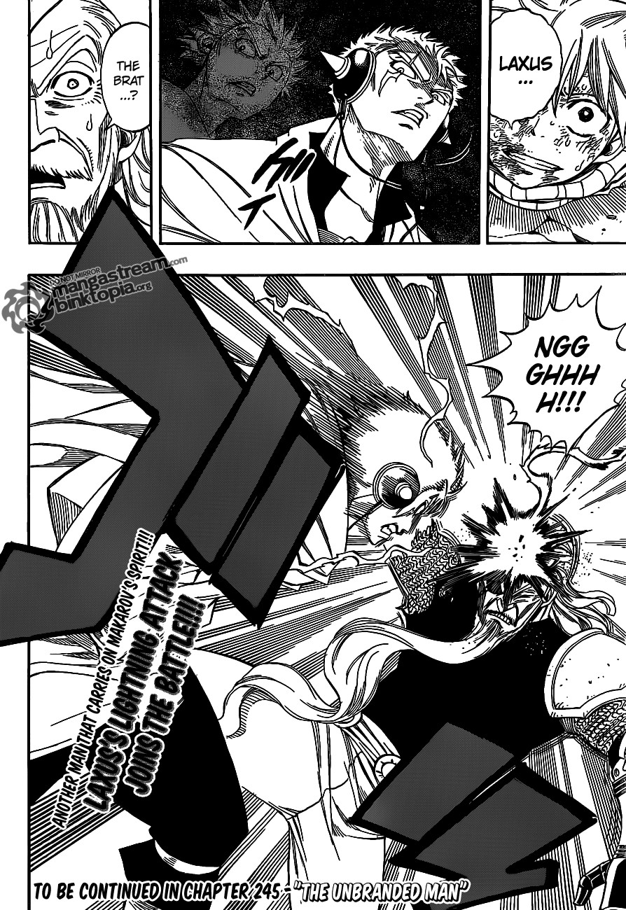 Fairy Tail Chapter 244 21